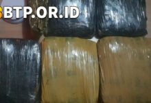 Polda Metro Jaya Ungkap Jaringan Narkoba, Tangkap 3 Pria Edarkan 15,5 Kg Ganja