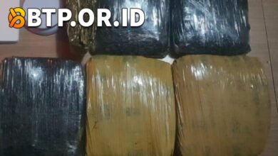 Polda Metro Jaya Ungkap Jaringan Narkoba, Tangkap 3 Pria Edarkan 15,5 Kg Ganja