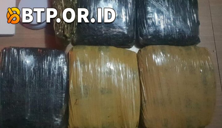 Polda Metro Jaya Ungkap Jaringan Narkoba, Tangkap 3 Pria Edarkan 15,5 Kg Ganja