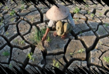 BMKG Menginformasikan Musim Kemarau Dimulai April dan Puncaknya di Agustus