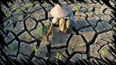 BMKG Menginformasikan Musim Kemarau Dimulai April dan Puncaknya di Agustus