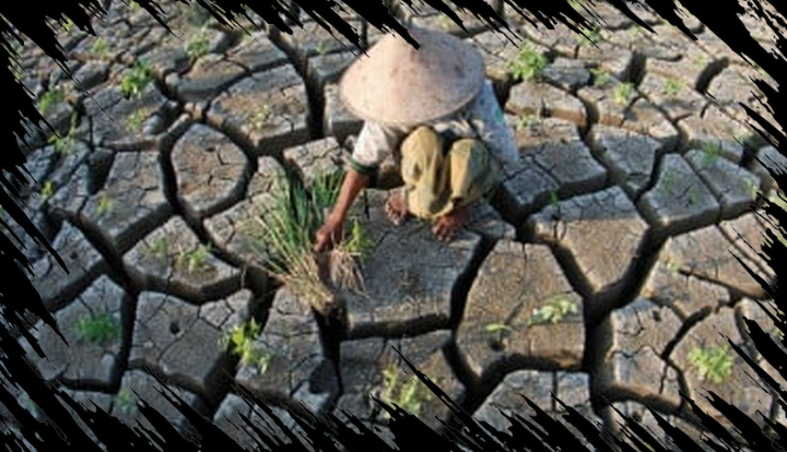 BMKG Menginformasikan Musim Kemarau Dimulai April dan Puncaknya di Agustus