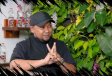 Tegaskan Karya Nussa Rara Sebagai Ciptaan Anak Bangsa, Aditya Triantoro: Jangan Kaitkan dengan Isu Pribadi