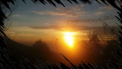 Ilmuwan Mengungkap Dampak Jika Matahari Secara Tiba-Tiba Menghilang dari Sistem Tata Surya