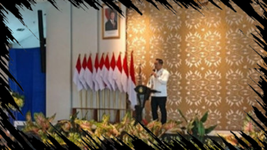 Kadin Indonesia Ungkap Potensi Ekonomi Papua Melampaui Emas dan Tembaga