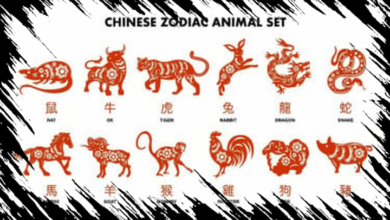 6 Shio Beruntung pada Sabtu 18 April 2026: Melepaskan Hal Lama untuk Raih Sukses