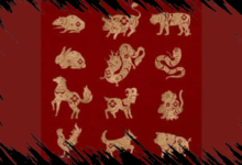 6 Shio yang Akan Mengalami Keberuntungan dan Sukses Finansial Besar pada Senin 20 April 2026