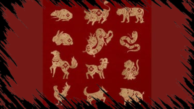 6 Shio yang Akan Mengalami Keberuntungan dan Sukses Finansial Besar pada Senin 20 April 2026