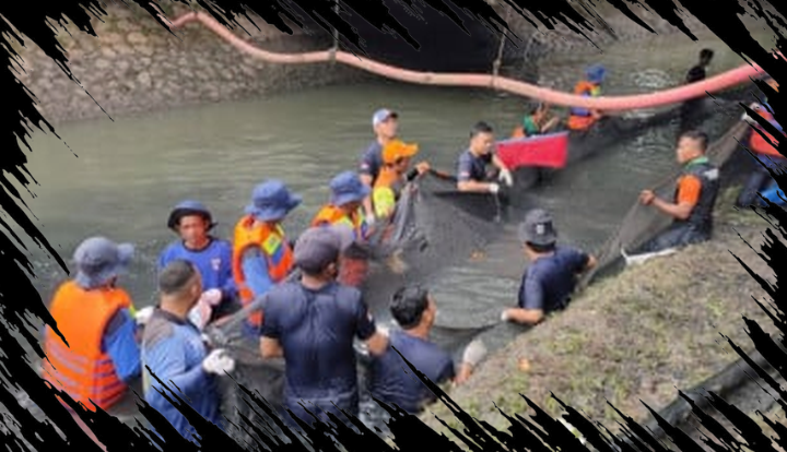 5 Penjual Daging Ikan Sapu-sapu Ditangkap Oleh Satpol PP di Wilayah Tertentu