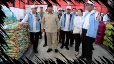 Manajer Kopdes: Status Kontrak 2 Tahun dan Informasi Gaji yang Perlu Diketahui