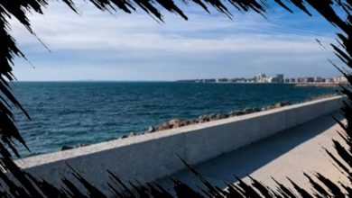6 Negara dengan Giant Sea Wall, Indonesia Siap Membangun Infrastruktur Serupa!