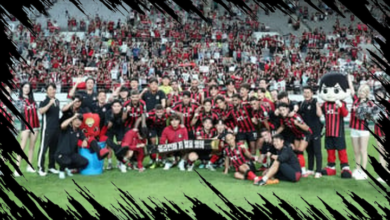 Fakta Menarik FC Seoul, Raksasa Korea Selatan yang Dihadapi Persib di ACL 2023