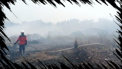 64 Pesawat dan 54.394 Personel Siap Tangani Karhutla, Kekuatan Terpadu Bergerak di Udara dan Darat