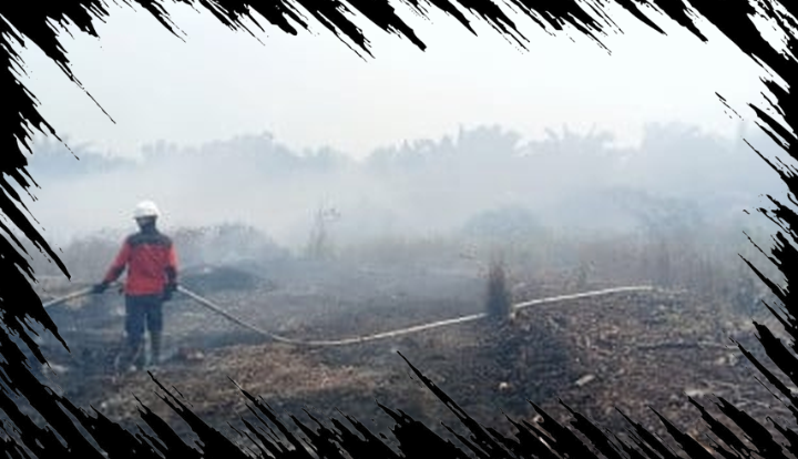 64 Pesawat dan 54.394 Personel Siap Tangani Karhutla, Kekuatan Terpadu Bergerak di Udara dan Darat
