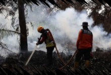 BNPB Laporkan Karhutla Indonesia Mencapai 209,78 Hektare, Pemadaman Dipercepat oleh Pemerintah