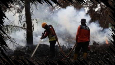 BNPB Laporkan Karhutla Indonesia Mencapai 209,78 Hektare, Pemadaman Dipercepat oleh Pemerintah