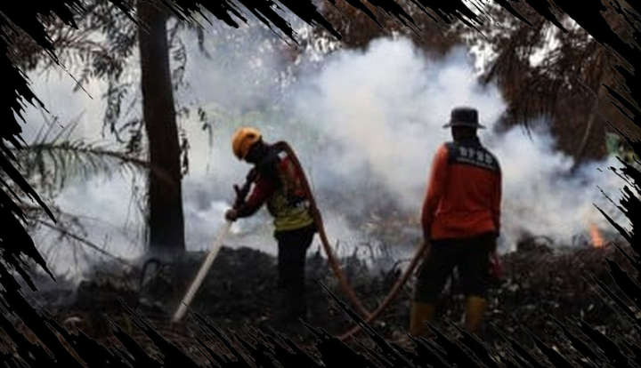 BNPB Laporkan Karhutla Indonesia Mencapai 209,78 Hektare, Pemadaman Dipercepat oleh Pemerintah BNPB Laporkan Karhutla Indonesia Mencapai 209,78 Hektare, Pemadaman Dipercepat oleh Pemerintah