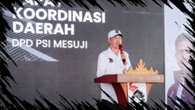 Jokowi Tetap Tenang Terkait Ambang Batas Parlemen, Baik 5 Maupun 8 Persen