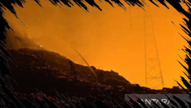 TPA Putri Cempo Solo Terbakar Lagi, Sumber Api Diketahui dari Blok B hingga D1
