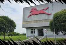 Bos TVS Tegaskan EV Bukan Solusi Utama untuk Menyelamatkan Bumi
