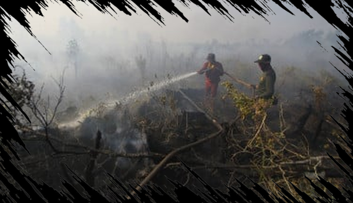 223 Tersangka Karhutla, Luas Lahan Terbakar Mencapai 5.157 Hektare di Indonesia